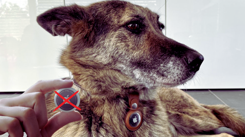 Why Not Put an AirTag on Your Dog’s Collar