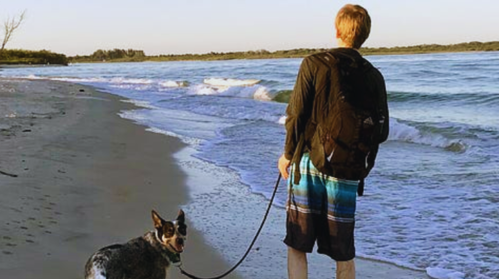dog-leash-laws-by-state-2024-guide-to-requirements-u-s