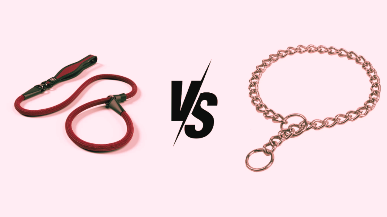 Slip Lead vs Choke Chain: What Is The Difference?