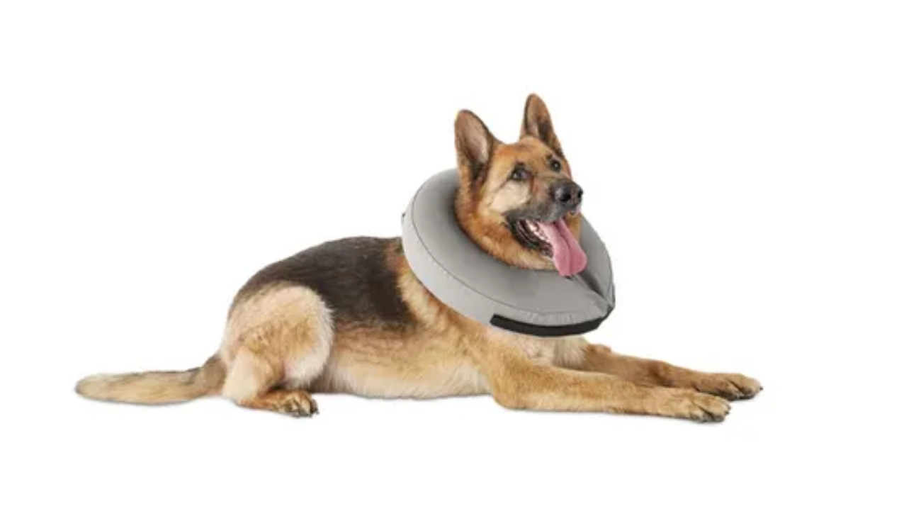 Inflatable Collars