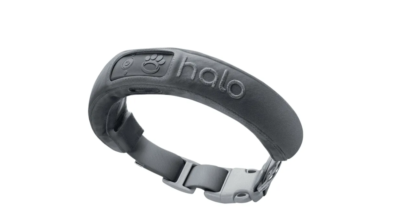 What is the Halo Collar