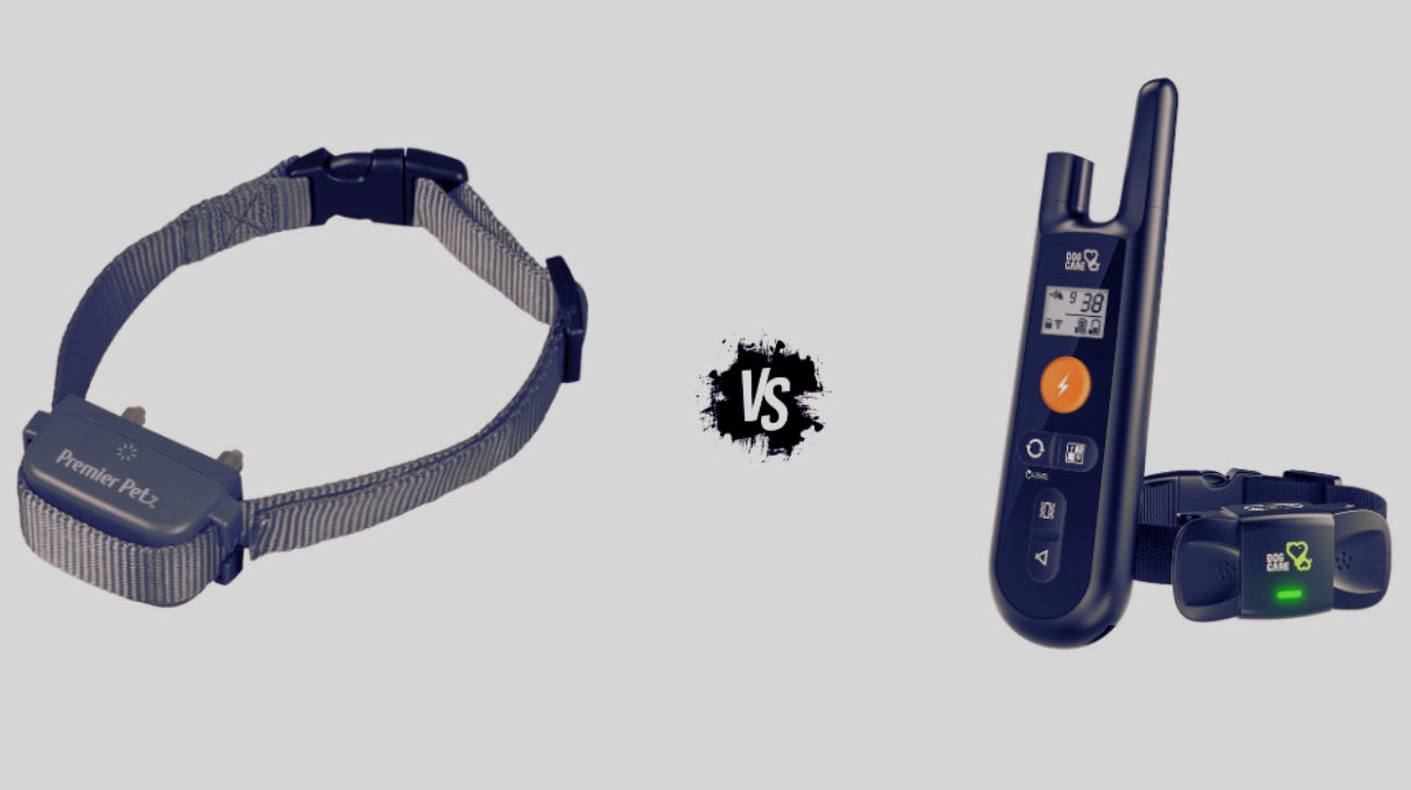 Shock Collar vs TENS Unit: Key Differences