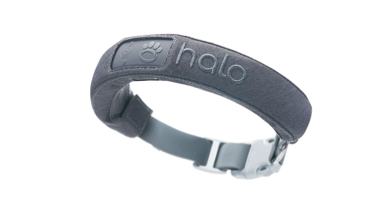 What is the Halo Collar?