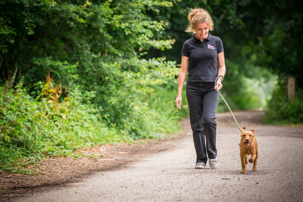 Ways to Stay Safe on Walks with a Dog