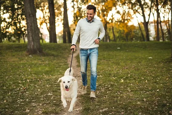 Training and Strengthening for Safer Walks