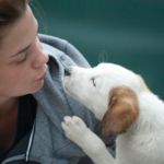 What Are the Benefits of Owning a Pet | 6 Potential Health Benefits