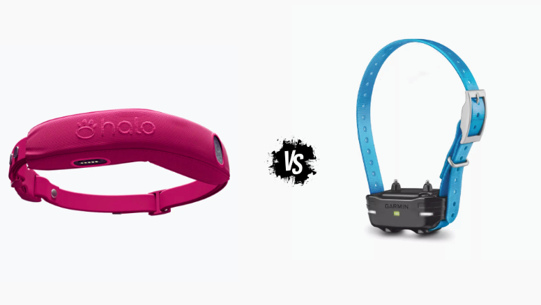 Halo Collar vs Garmin: Understanding the Key Differences