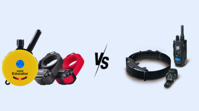 Mini Educator vs Dogtra: Amazing Comparison of Dog Collars