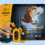 Dogtra Pathfinder 2 Battery Life | Optimum Requirements to Know