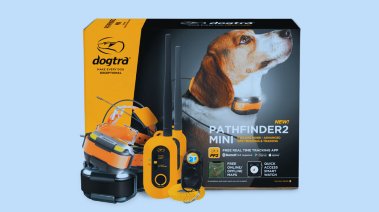 Dogtra Pathfinder 2 Battery Life | Optimum Requirements to Know