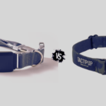 Fi Collar Series 2 vs Fi Collar Series 3 | Features to Know
