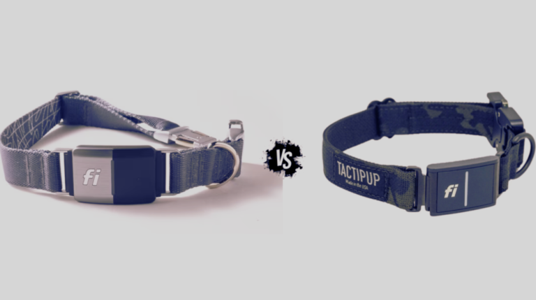 Fi Collar Series 2 vs Fi Collar Series 3 | Features to Know