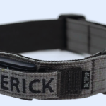 Fi Series 2 Compatible Collar | Everything You Need to Know