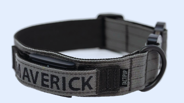 Fi Series 2 Compatible Collar | Everything You Need to Know