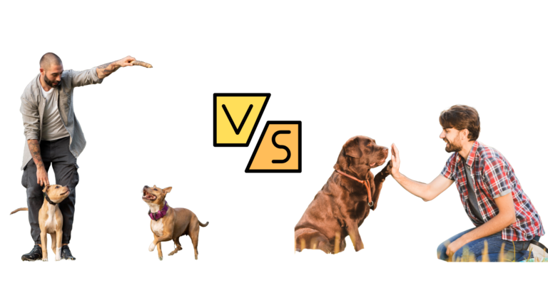 Dog Trainer vs Behaviorist