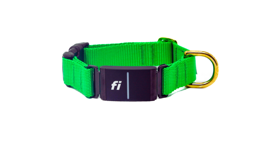 Pairing Your Fi Collar with Your Phone