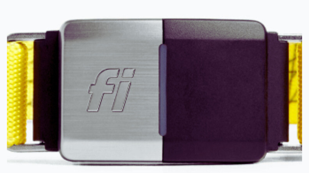 Creating Your Fi Account