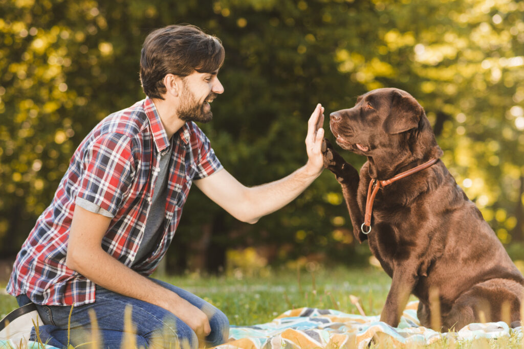 What Is a Behaviorist