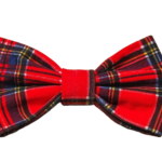 Free Dog Bow Tie Sewing Pattern