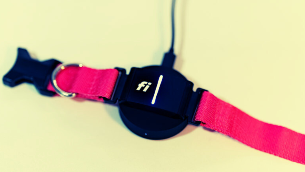 Charge Your Fi Collar