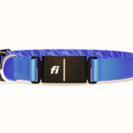 Fi Collar Series 3 Review