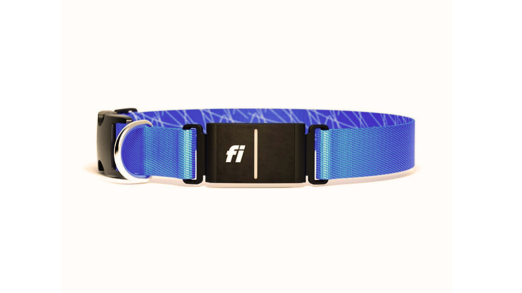 What is the Fi Collar?