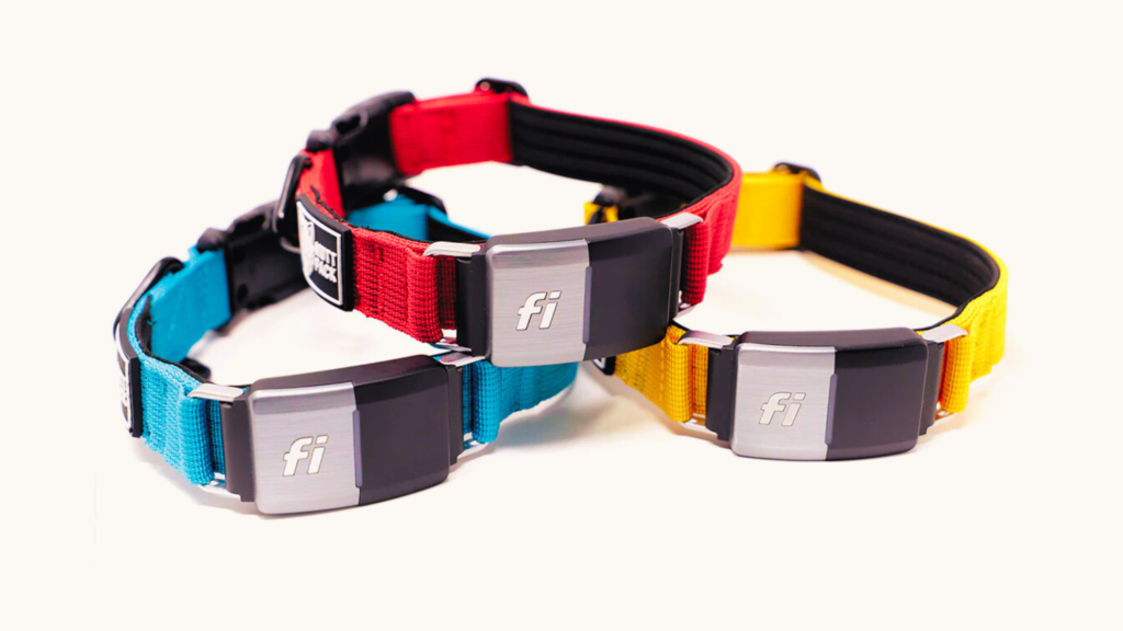 What You Need to Connect the Fi Collar to Your Phone