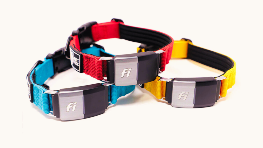 How the Fi Collar Series 3 Compares to Previous Models