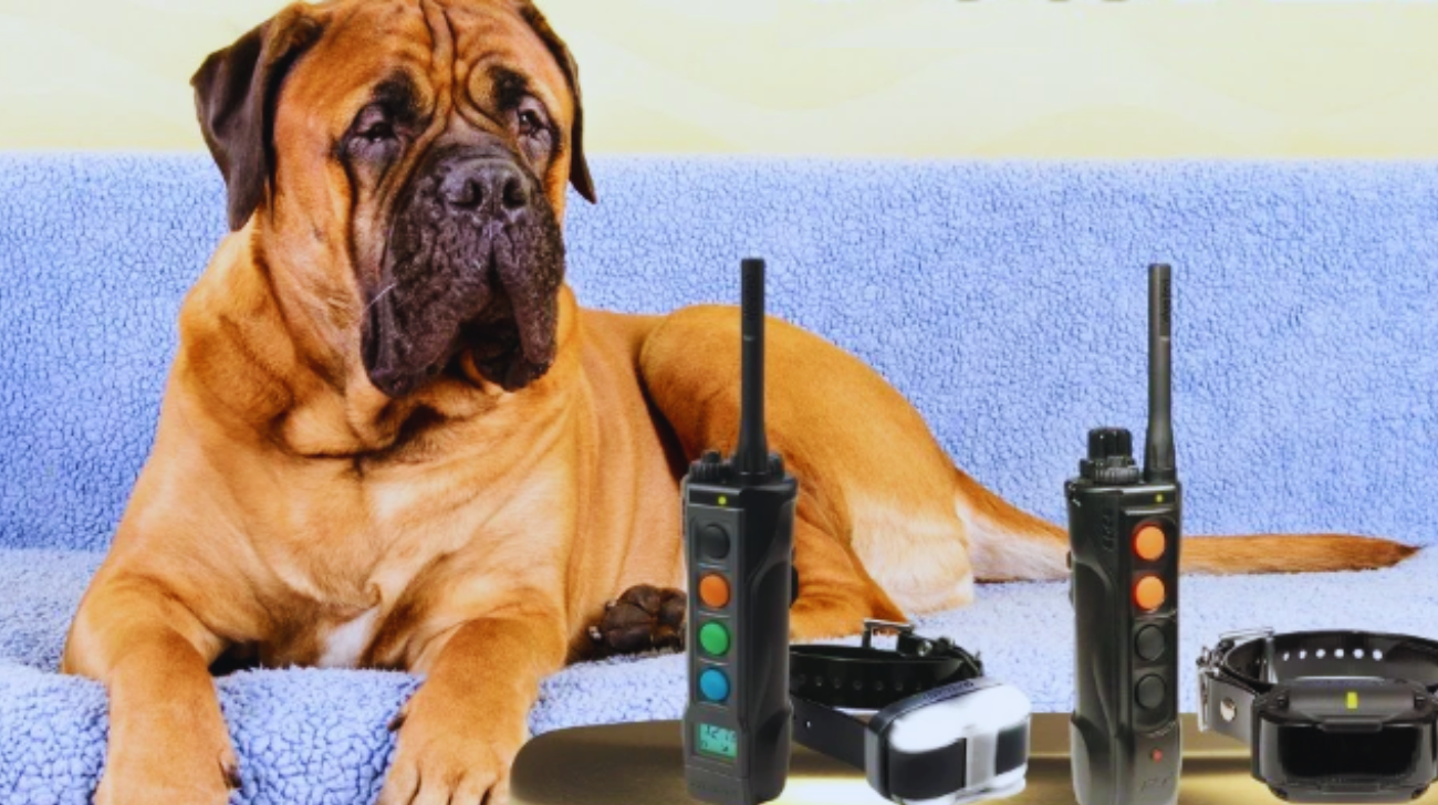 How to Set Up the Dogtra 3-Dog System