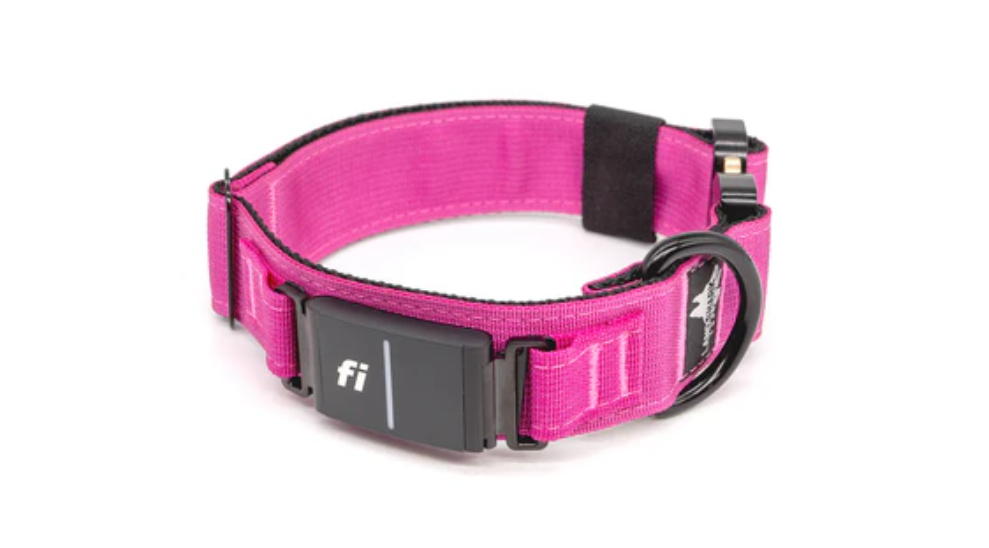 What is the Fi Collar