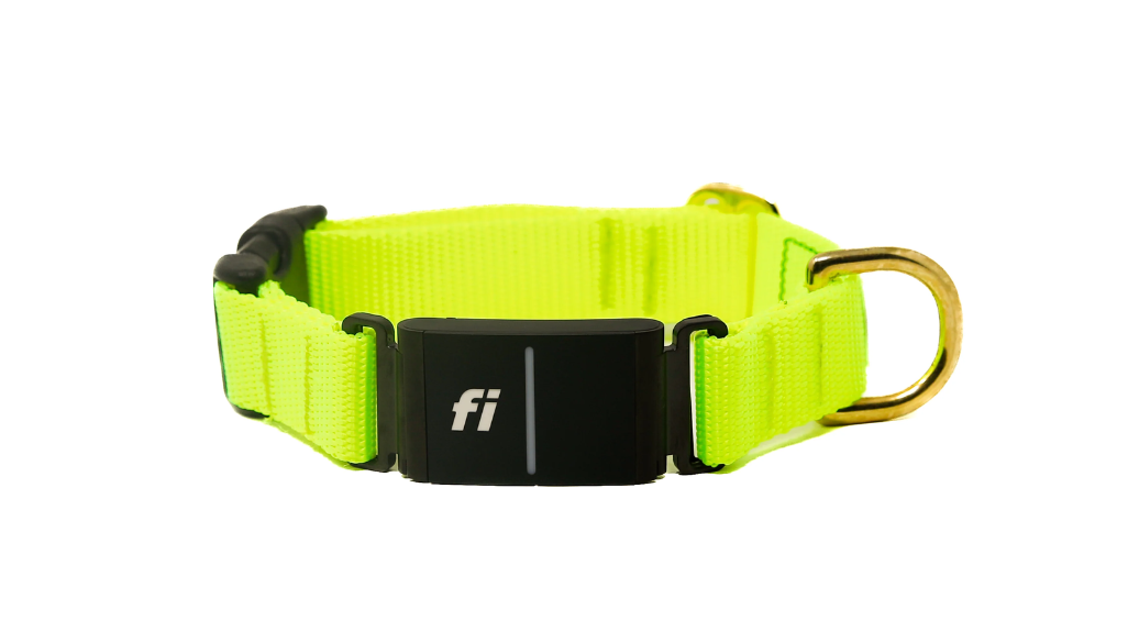 What is the Fi Collar?