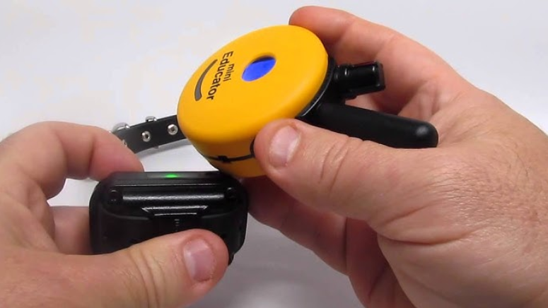 How to Reset the Mini Educator Remote | 4 Useful Steps!