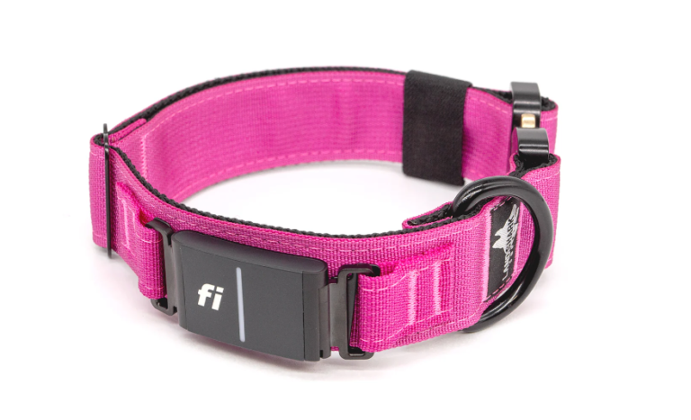 Fi Series 3 Collar Review: Smart Dog Collar Technology