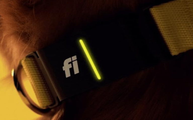 Fi Dog Collar Monthly Cost: A Detailed Breakdown