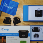 Wagz Subscription: Pricing, Features, and Benefits