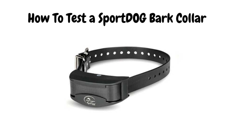 How to Test a SportDOG Bark Collar