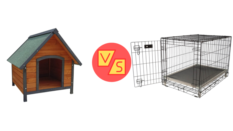 Dog Kennel vs Dog Crate