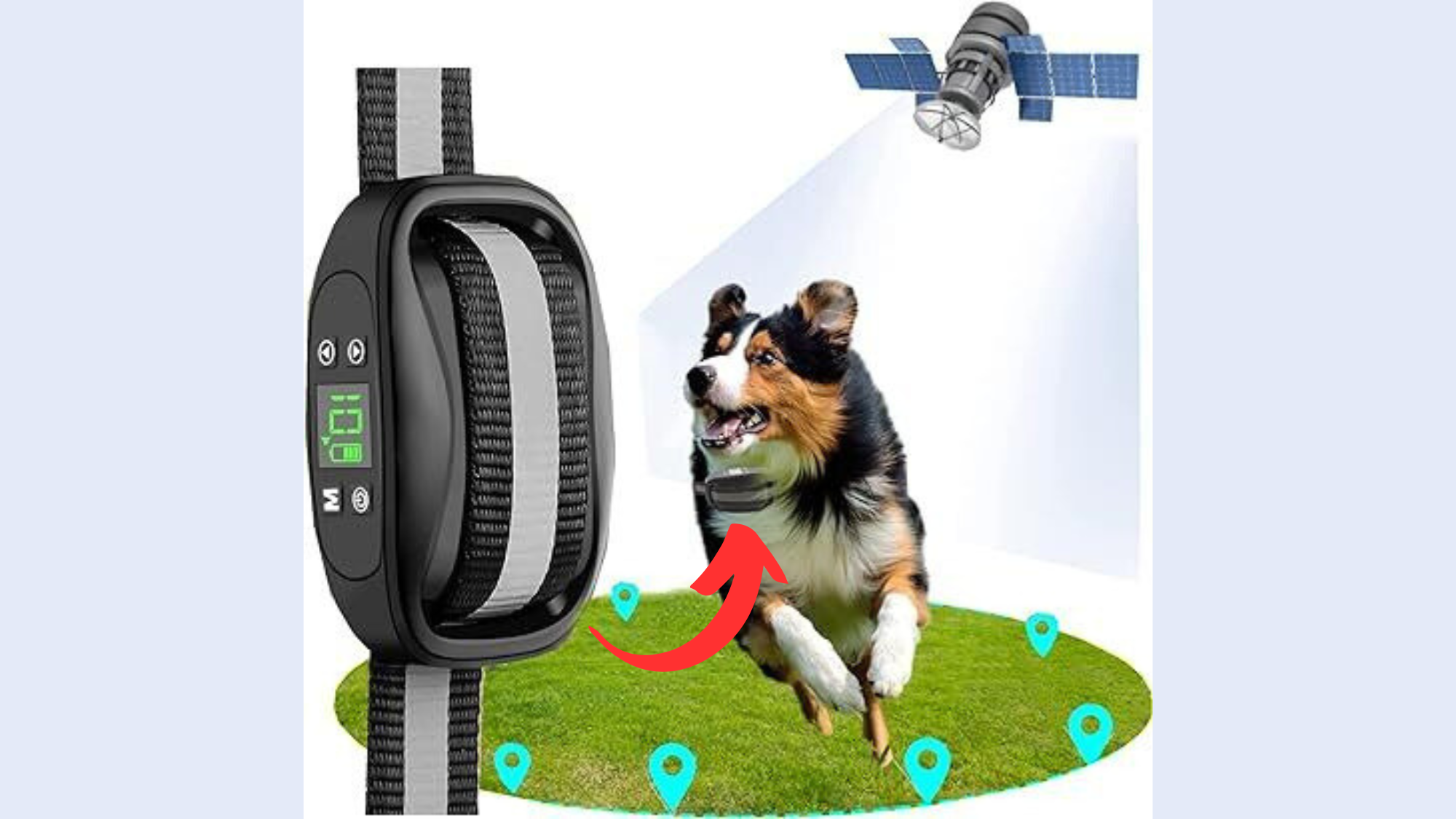 Wireless Dog Fence Cost