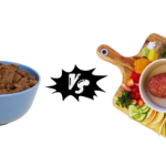 Dry Dog Food vs Raw Diet