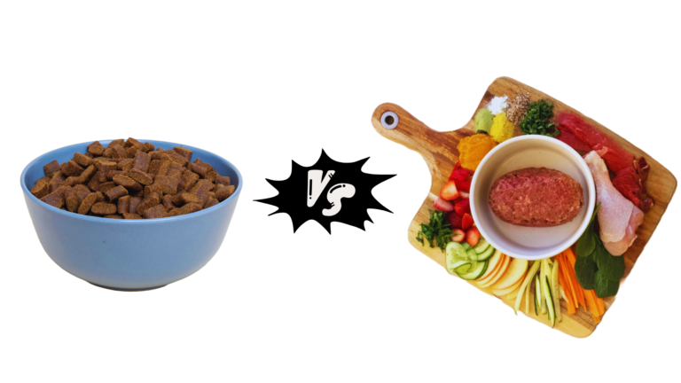 Dry Dog Food vs Raw Diet