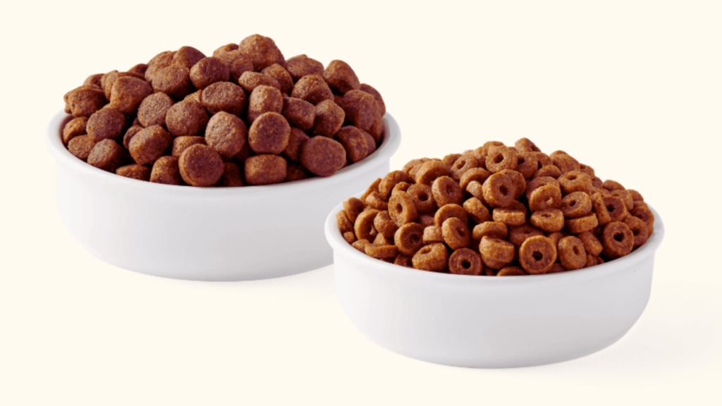 Understanding Dry Dog Food (Kibble)