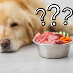 Is a Raw Diet Better for Dogs