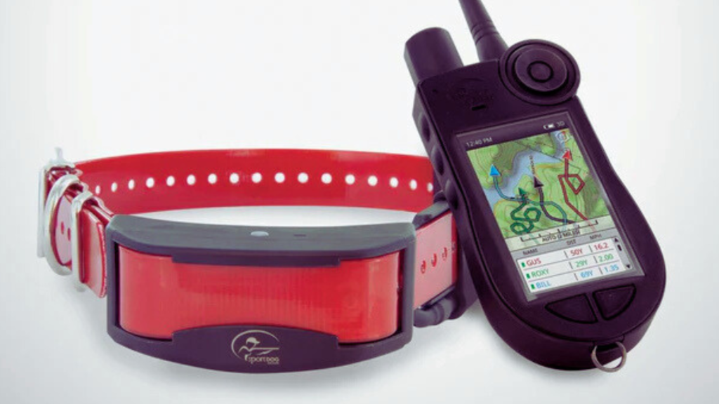 GPS Functionality: Tracking Your Dog’s Location