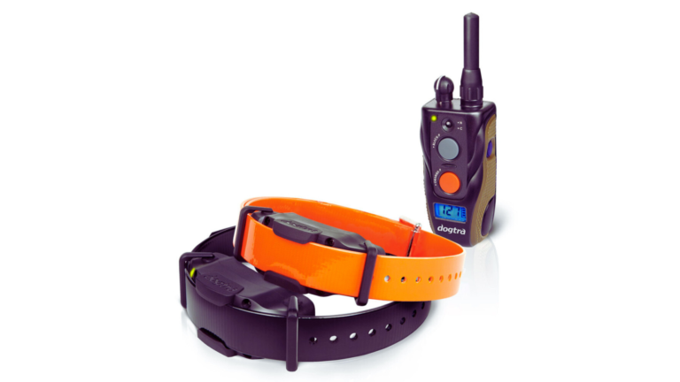 How to Use Dogtra Training Collar