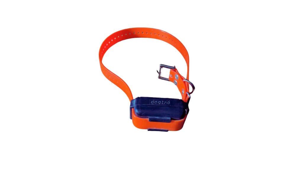 What is a Dogtra Training Collar