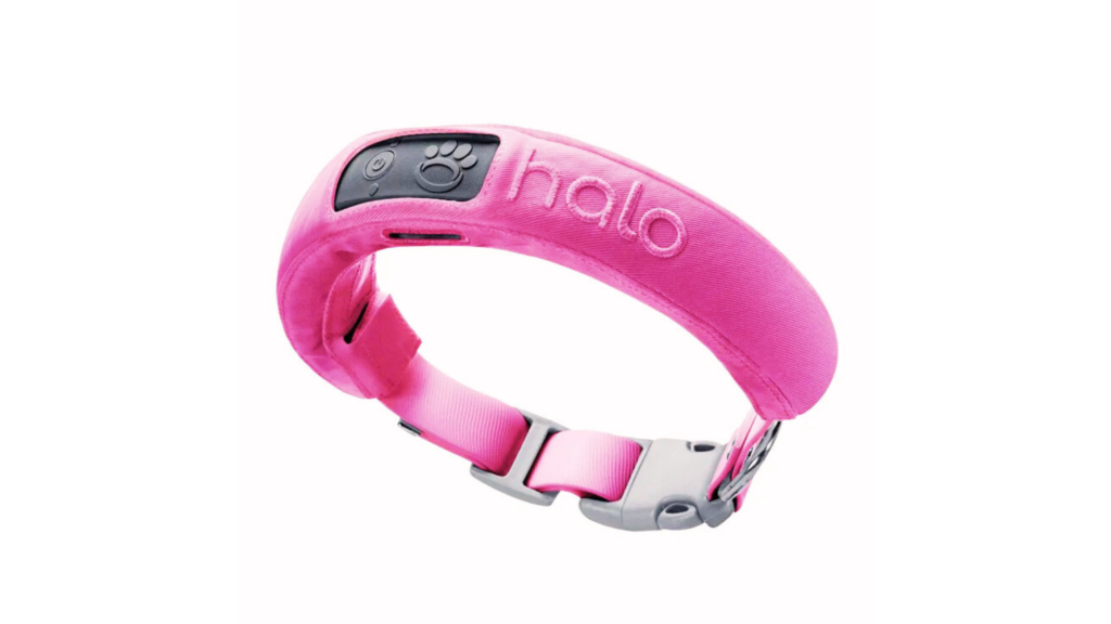 Halo Dog Collar Overview