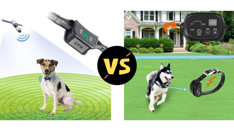 Wireless vs Underground Dog Fence