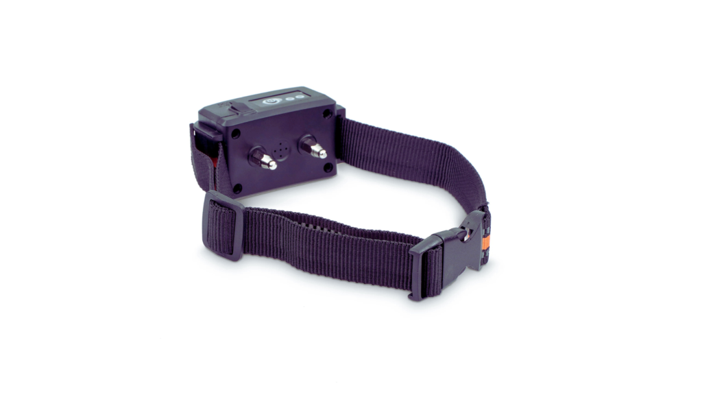 Underground Dog Fence Collars