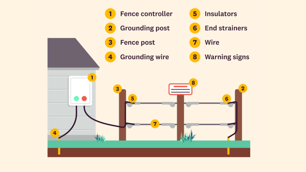 Understanding the Basics of an Electric Fence