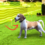 Is Invisible Fence Safe for Dogs